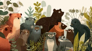 森林中的动物大集合