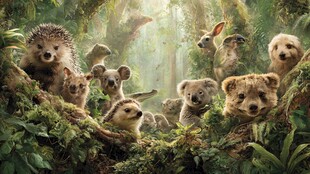 森林中可爱的动物们聚会