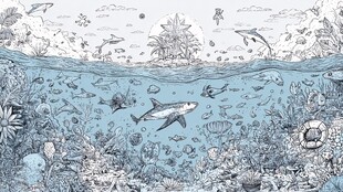 海洋世界的奇妙生物景观