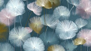 梦幻蒲公英背景图案