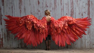 红衣女子展巨型艳丽红羽翼
