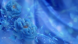 梦幻蓝调花卉背景图