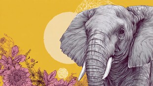 大象与花卉的梦幻插画