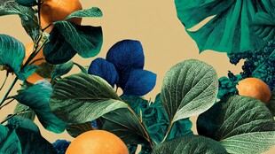 热带绿植与鲜果装饰画