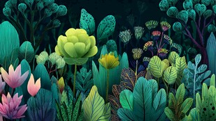 梦幻绿植丛林插画景观