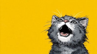 张嘴欢叫的可爱灰猫咪