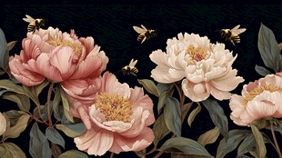 芍药绽放引蜂来