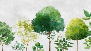 水彩绘绿树植物景观图