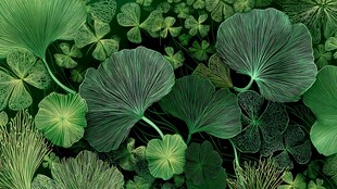 翠绿叶片交织的自然之美