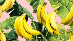 粉色背景下的香蕉与绿叶