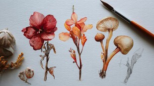 花卉蘑菇水彩手绘作品