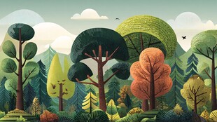 森林中的多彩树木景观