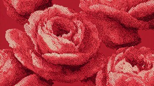 红色针织质感玫瑰花图案