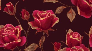 深红绣金玫瑰精美图案