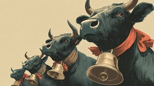 牛群铃铛相伴田园图景