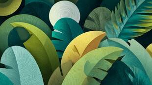 热带植物景观 月光下的绿意