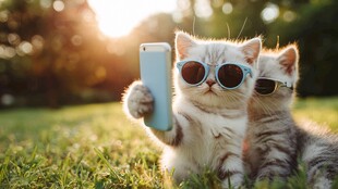 萌猫戴墨镜自拍超可爱