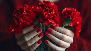 手捧红康乃馨的优雅时刻