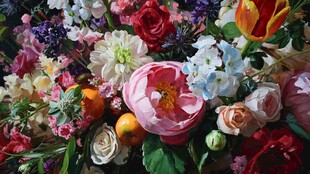 缤纷多彩花卉组合