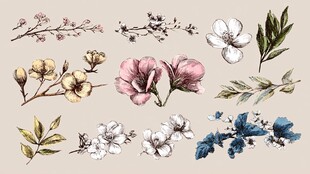 手绘精美花卉植物素材集