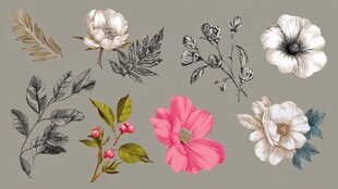 手绘花卉植物素材集合