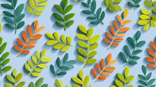 多彩叶片图案 清新视觉享受