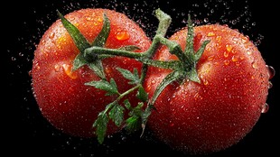 新鲜带露西红柿双果特写