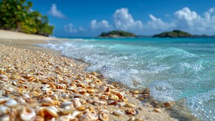 贝壳沙滩 海浪轻吻海岸线