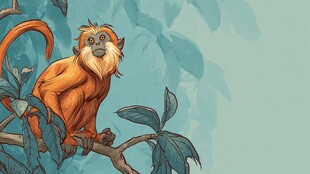 树枝上的可爱金丝猴