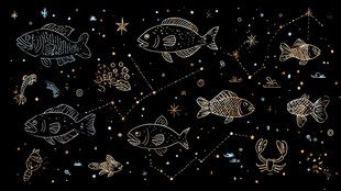 星空下的海洋生物奇幻图景