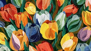 多彩郁金香花卉艺术插画