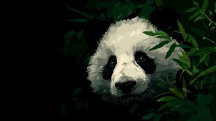 竹林中的可爱大熊猫