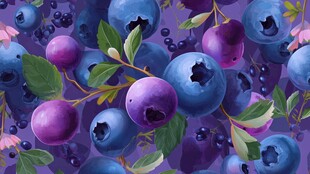 梦幻蓝莓插画 饱满果实