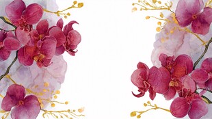 水彩风紫红色兰花花卉图