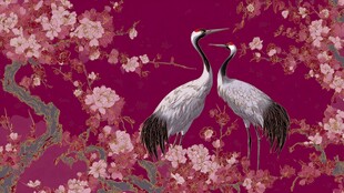 丹顶鹤栖于繁花枝头