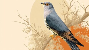 枝头灰鸟 自然清新景象