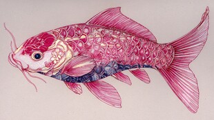 梦幻粉色锦鲤艺术插画
