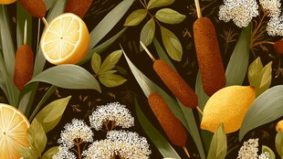 柠檬蒲苇花卉插画图案