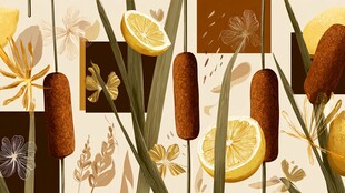 柠檬香蒲花卉插画图案