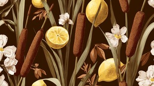 柠檬菖蒲花卉无缝图案