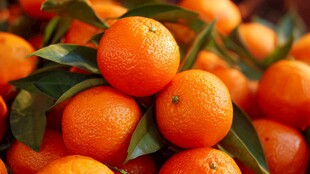 饱满鲜橙带叶色泽诱人