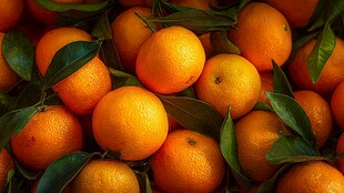 饱满鲜橙带绿叶诱人