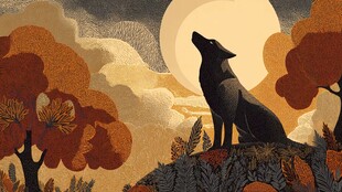 月夜孤狼啸秋景