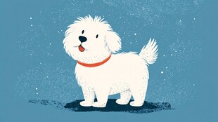 可爱白狗狗站立在蓝背景