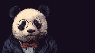 戴眼镜穿西装的熊猫