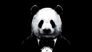 穿着西装的熊猫形象