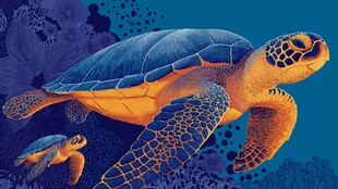 海龟母子悠游于梦幻海底