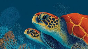 海底双海龟的奇幻世界