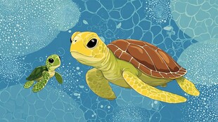 海龟母子的温馨海底时光