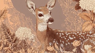 林间小鹿与繁花的自然图景